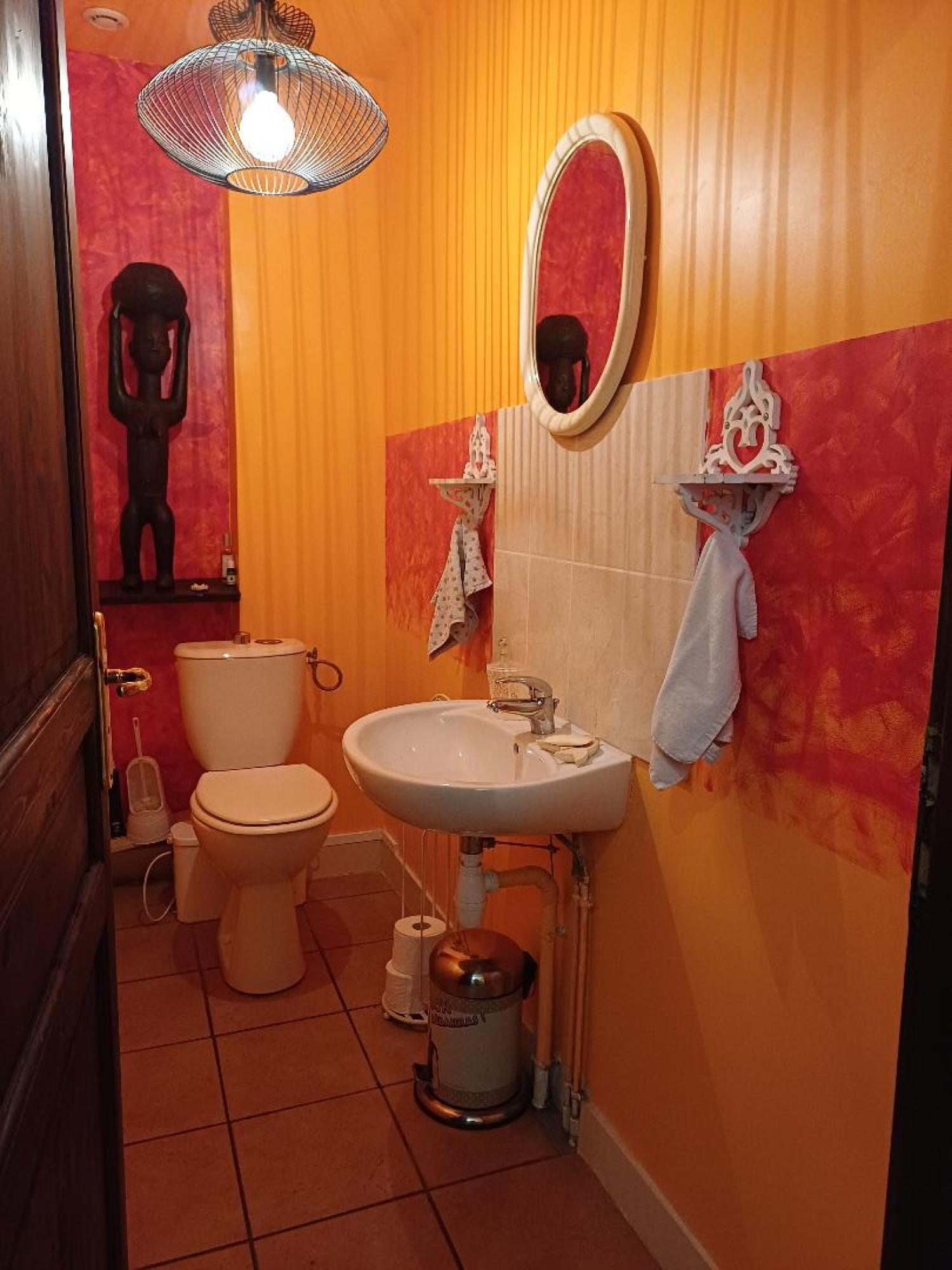  for sale house Saint-Plantaire Indre 21