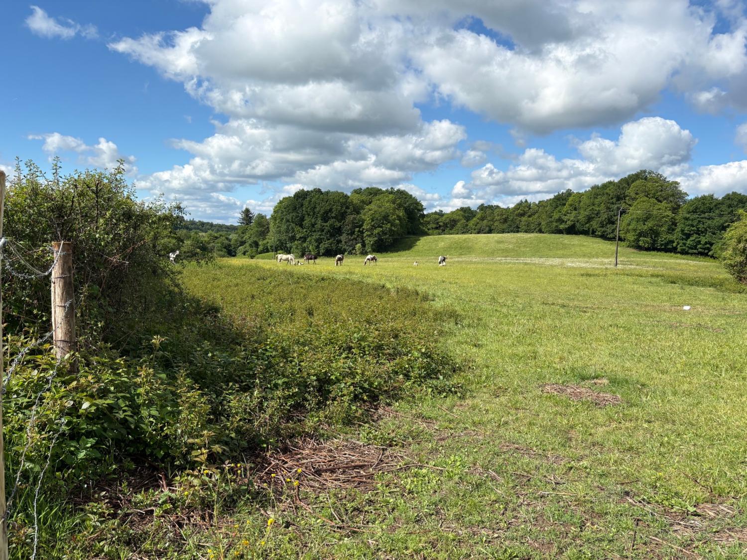  for sale farm Coussac-Bonneval Haute-Vienne 4