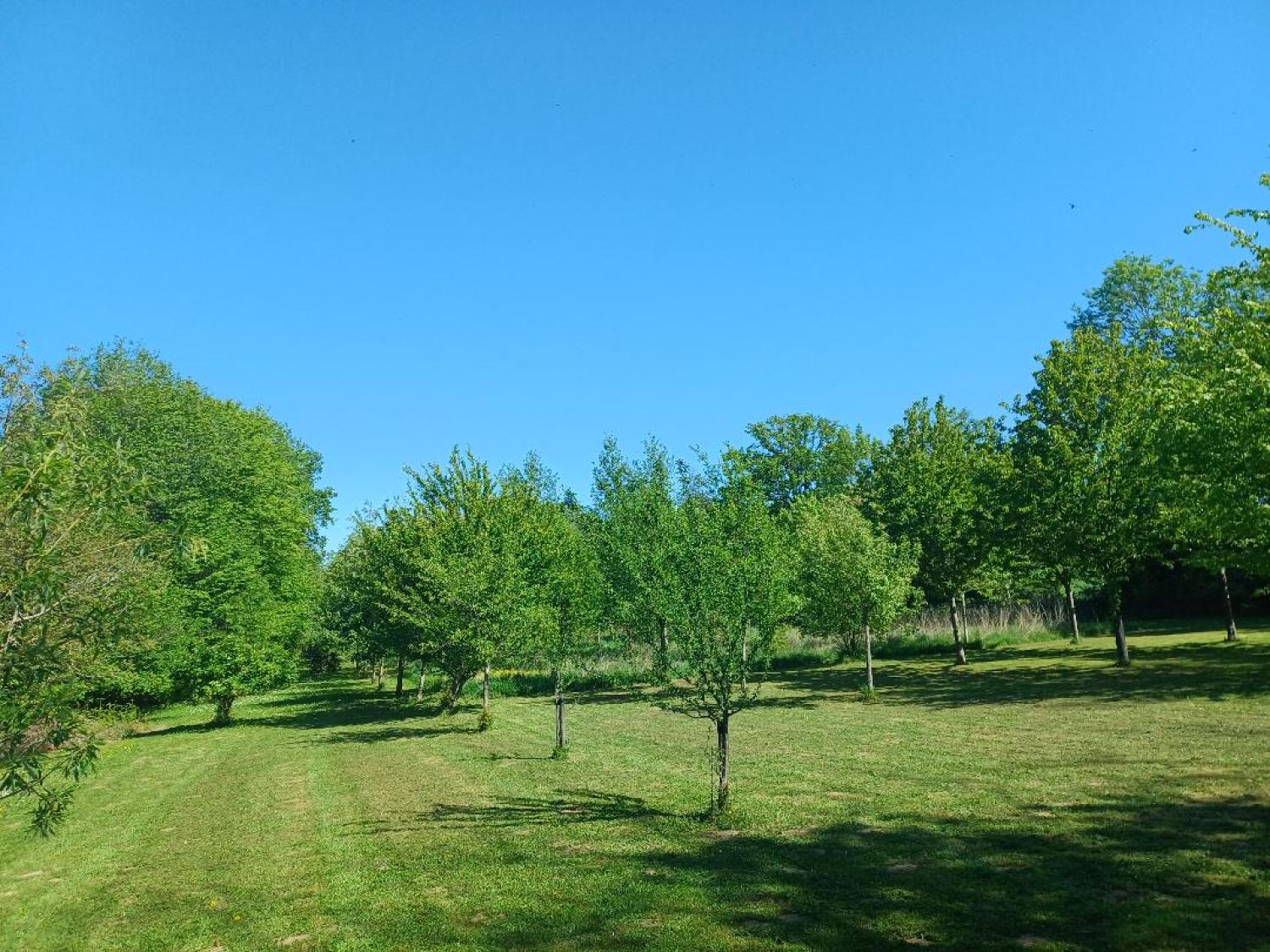  for sale house Saint-Plantaire Indre 39
