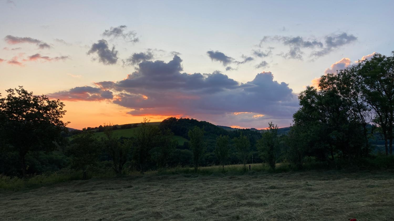  for sale farm Saint-Sernin-sur-Rance Aveyron 30