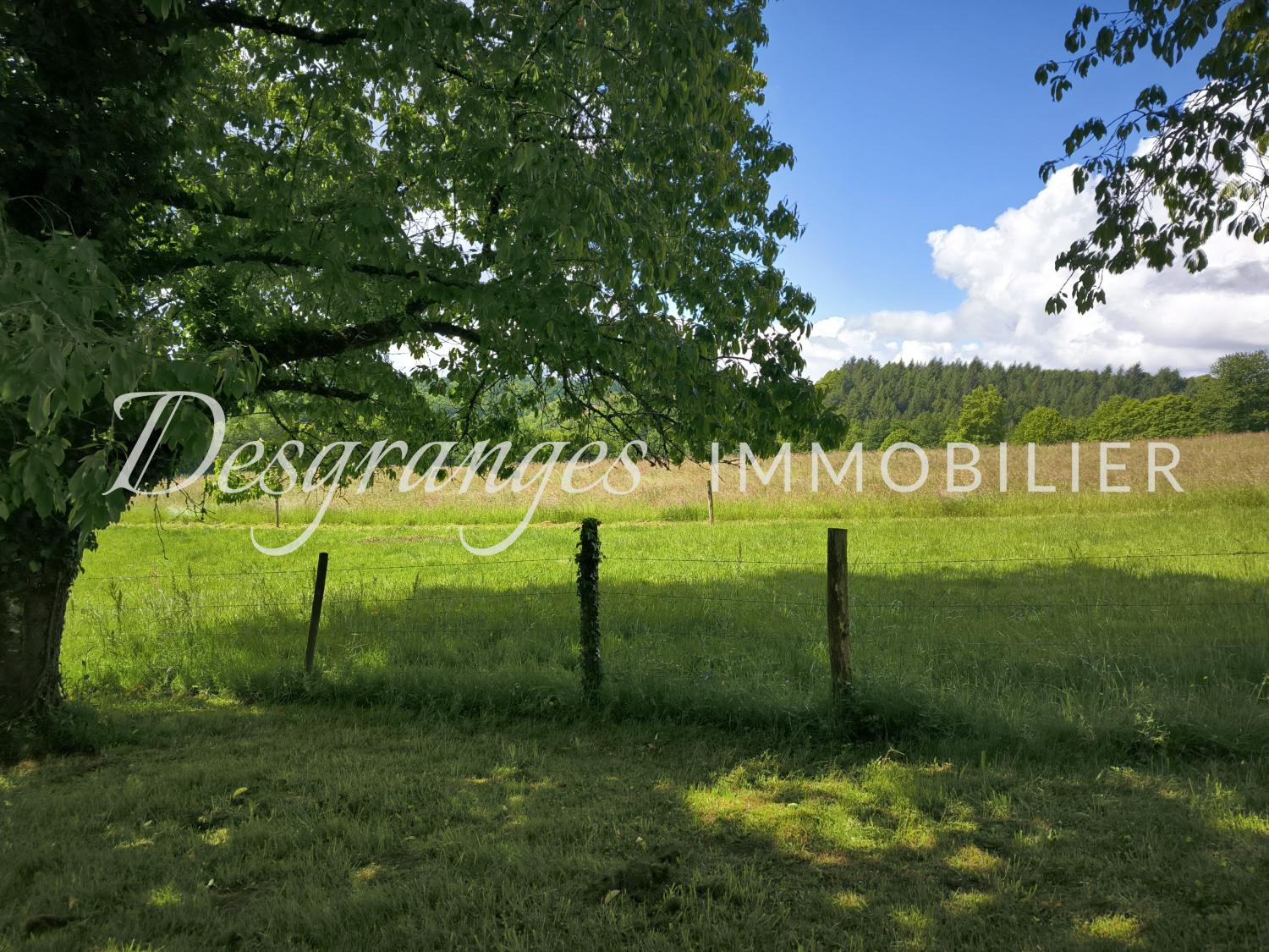 for sale estate Payzac Dordogne 10