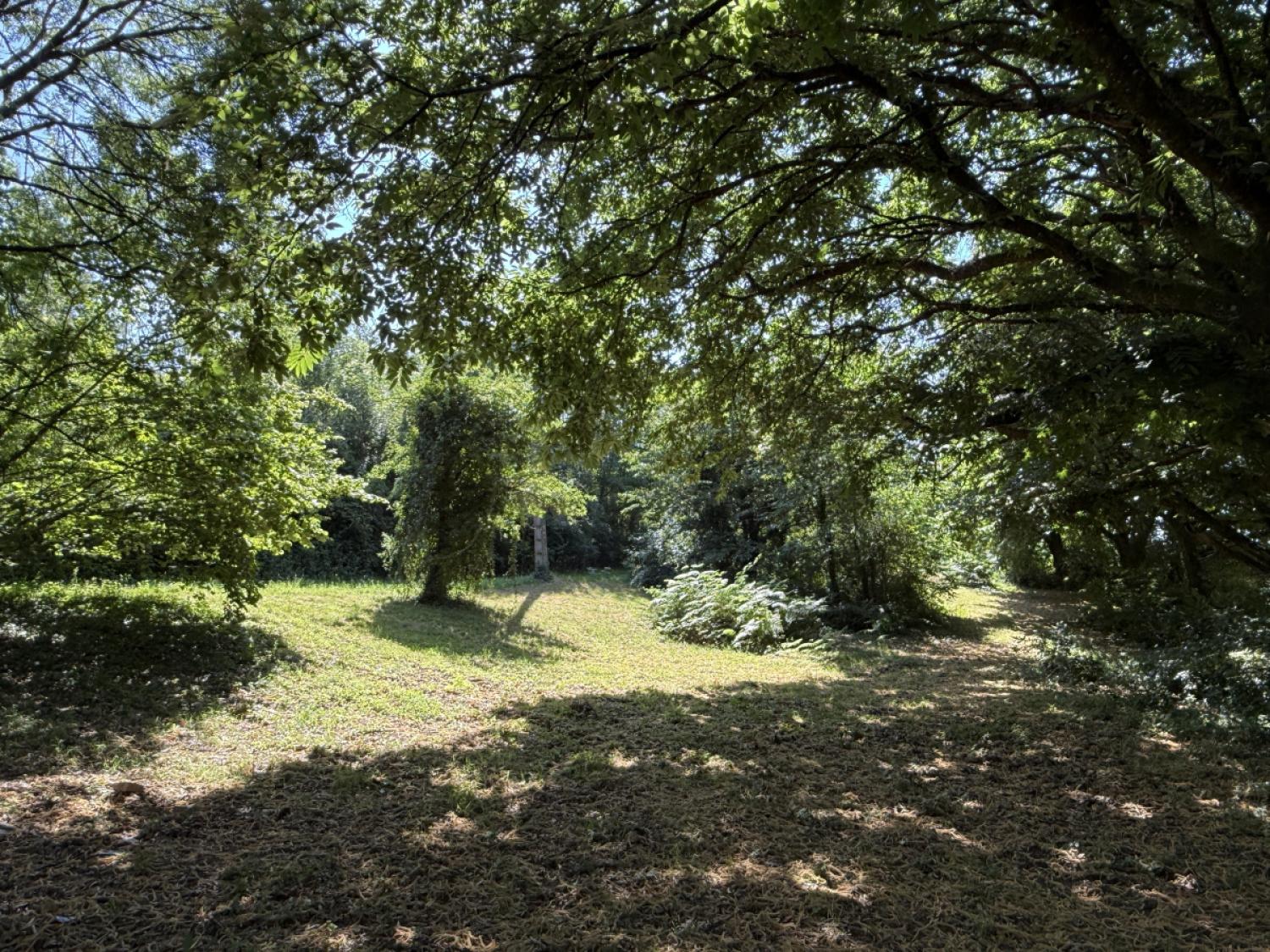 for sale farm Concèze Corrèze 28