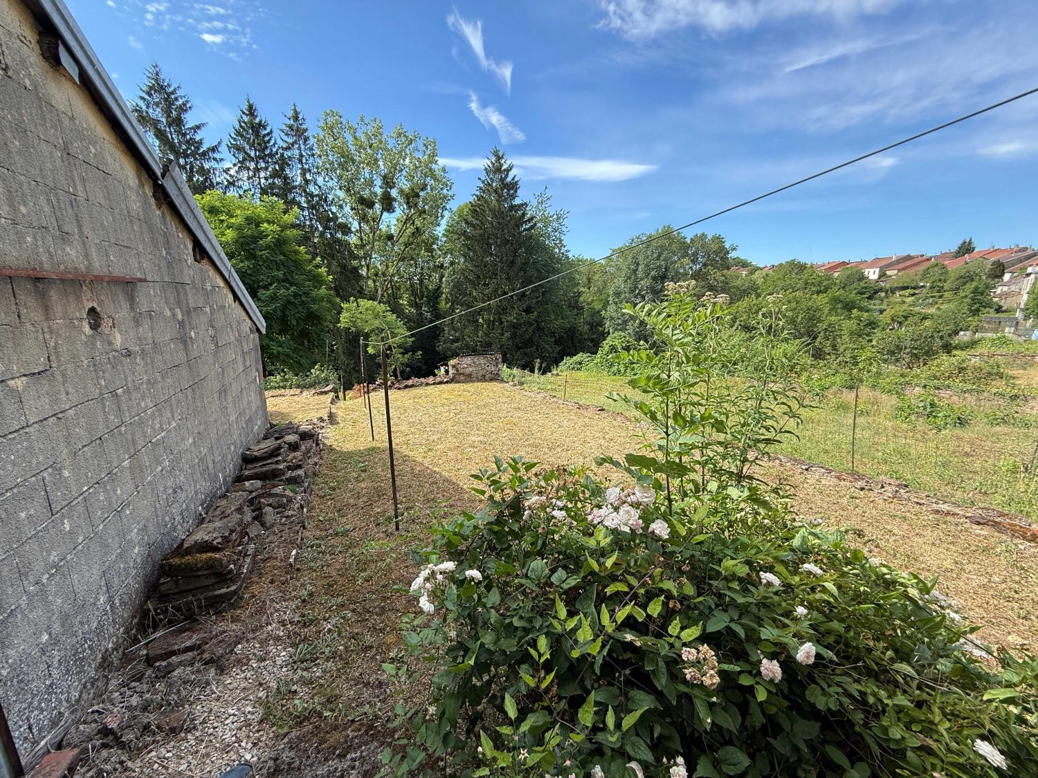 for sale village house Bourbonne-les-Bains Haute-Marne 18