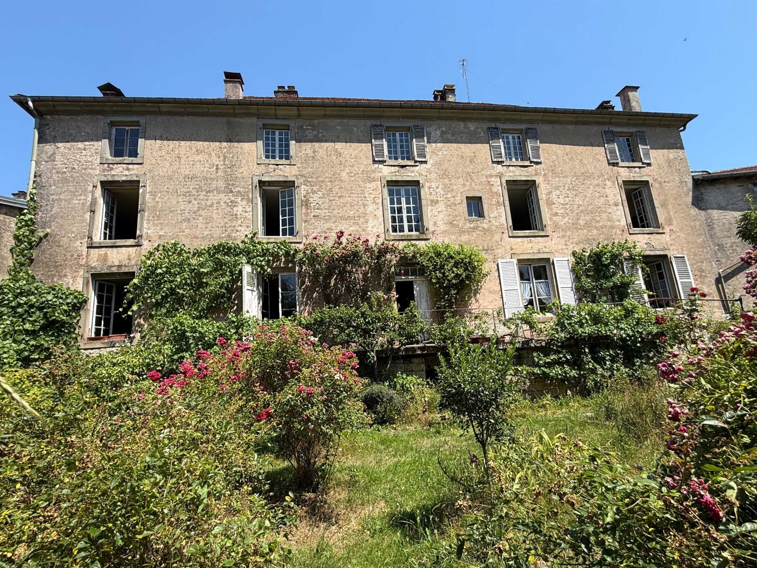  for sale mansion Châtillon-sur-Saône Vosges 43
