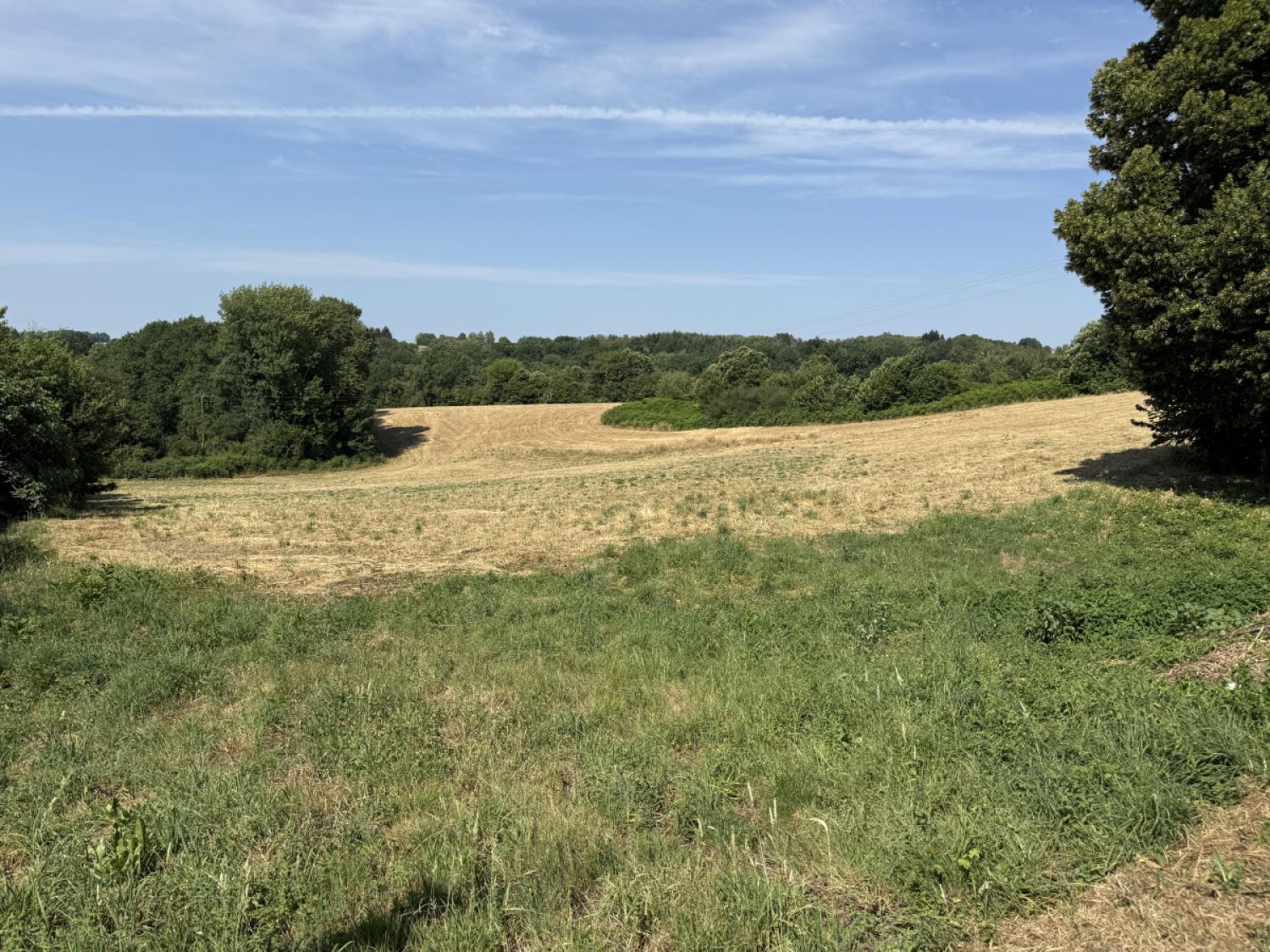 for sale farm Concèze Corrèze 5