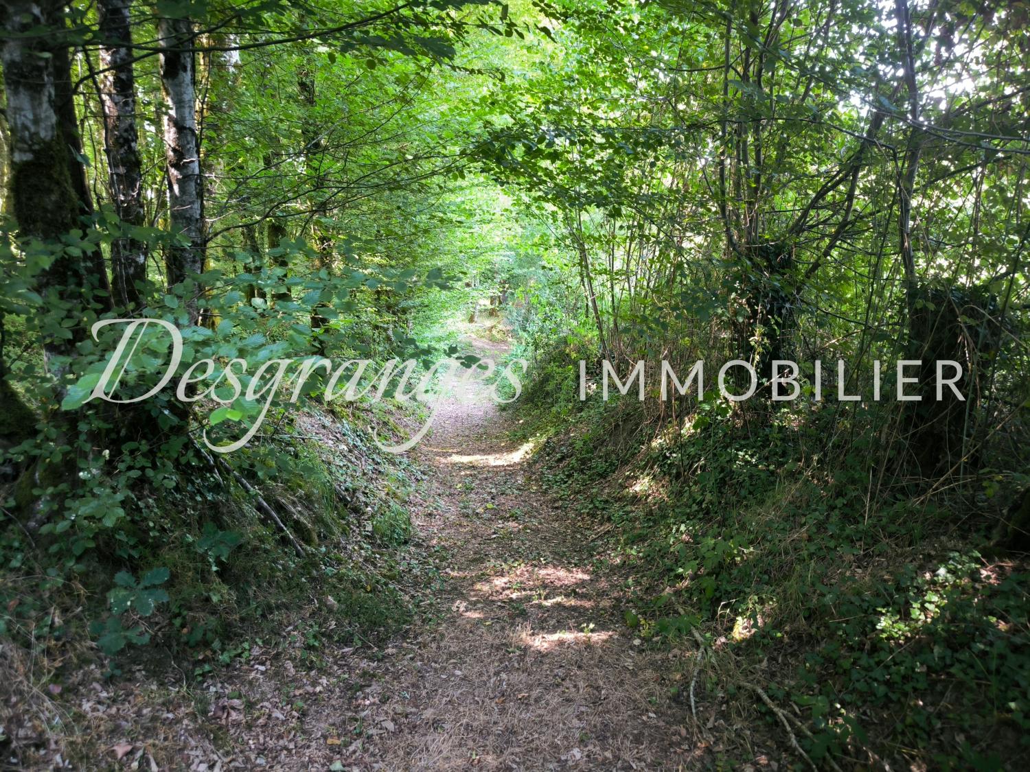 for sale estate Savignac-Lédrier Dordogne 20
