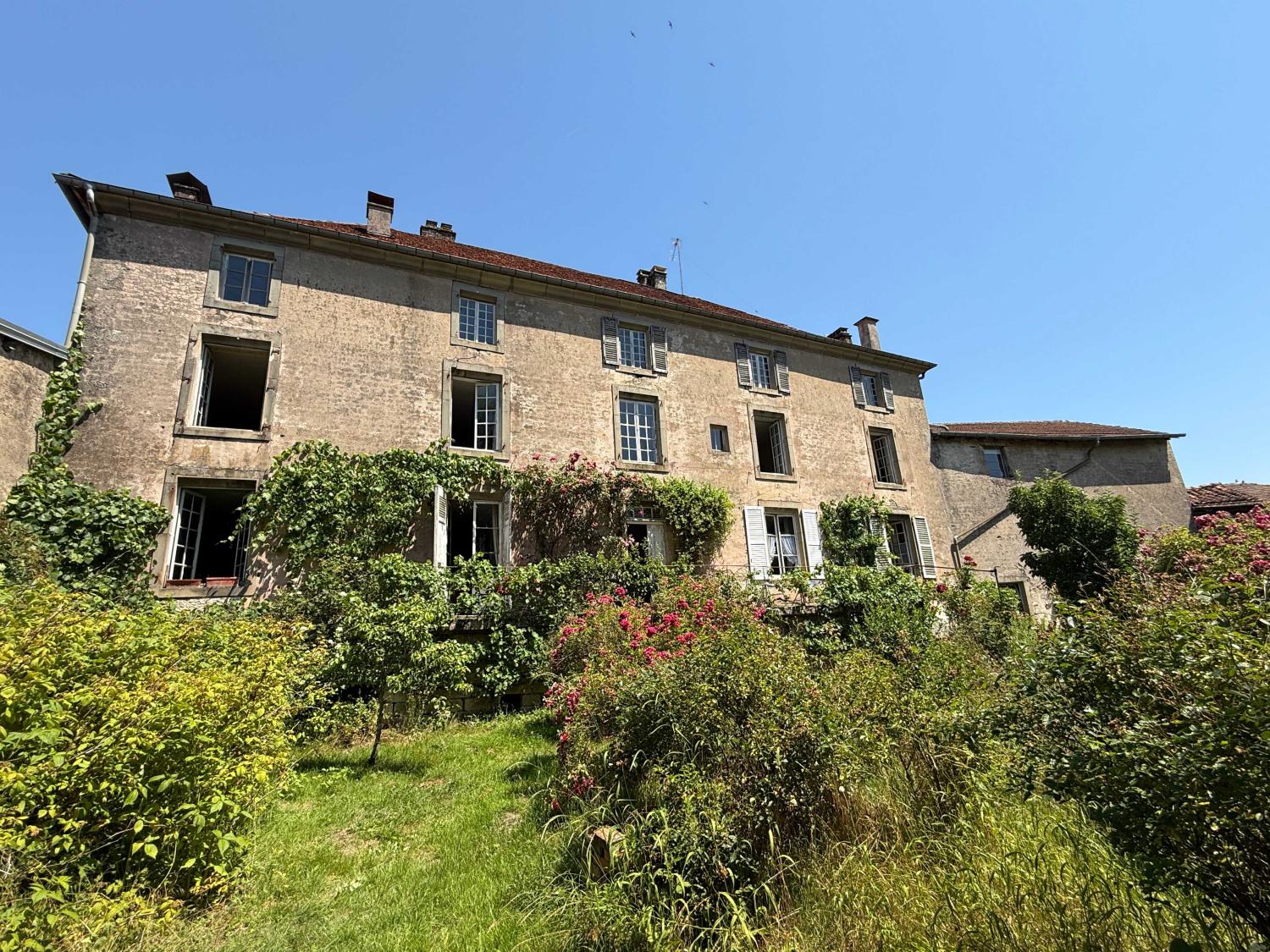  for sale mansion Châtillon-sur-Saône Vosges 45