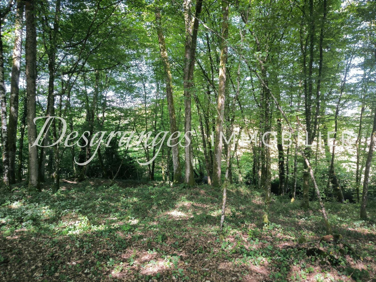 for sale estate Savignac-Lédrier Dordogne 21