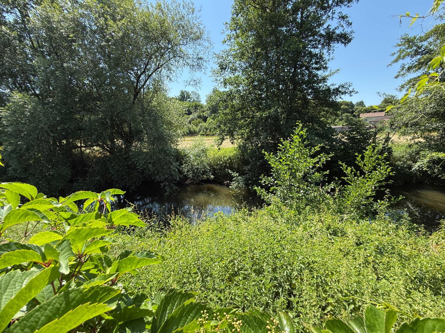  for sale mansion Châtillon-sur-Saône Vosges 36