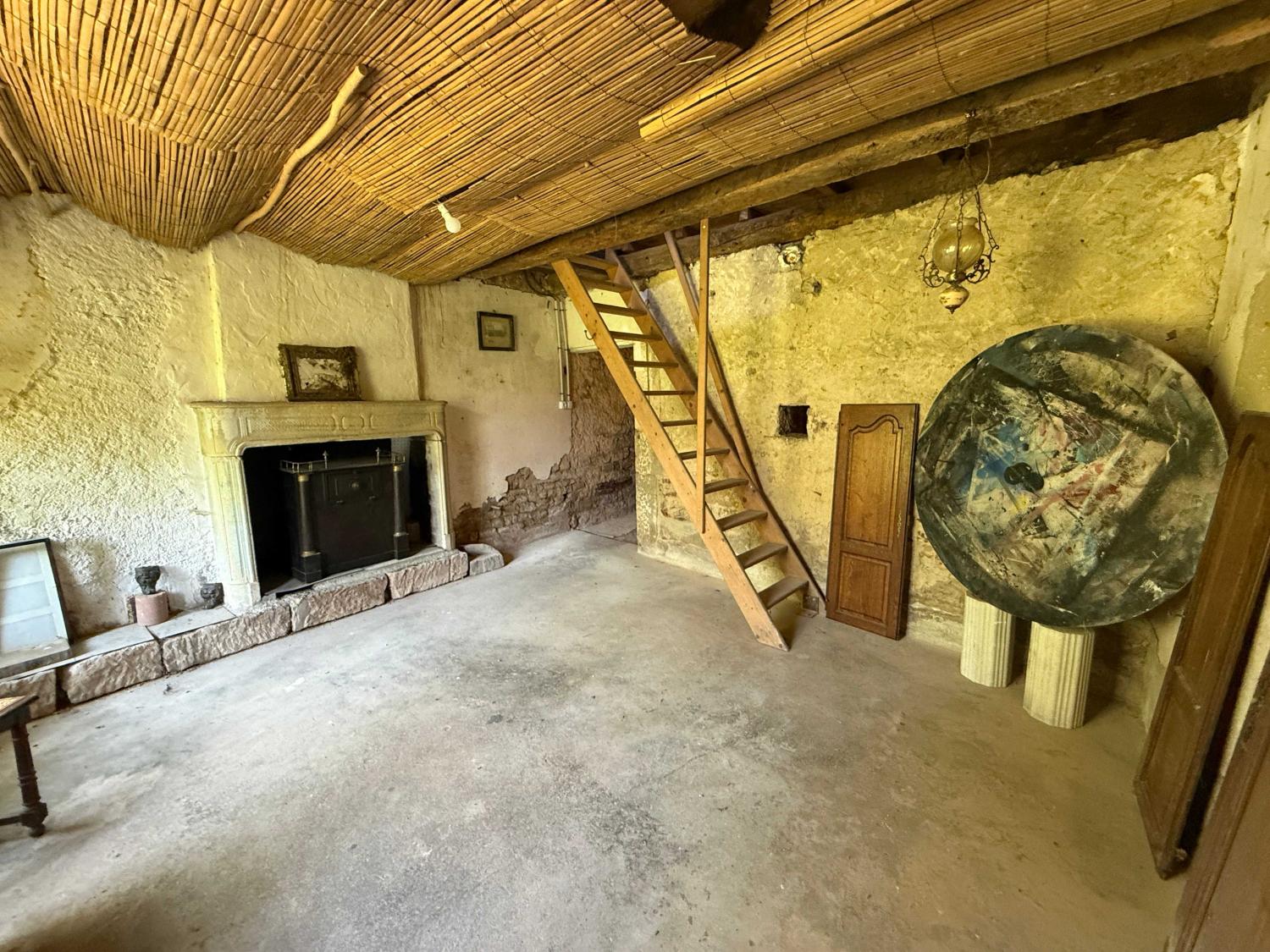  for sale mansion Châtillon-sur-Saône Vosges 39
