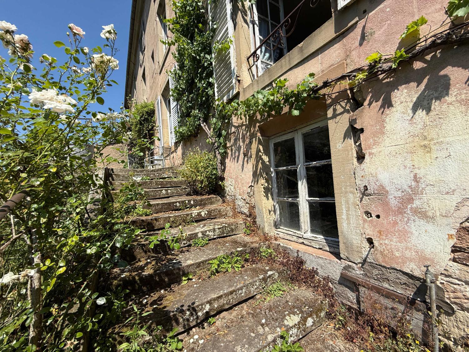  for sale mansion Châtillon-sur-Saône Vosges 34