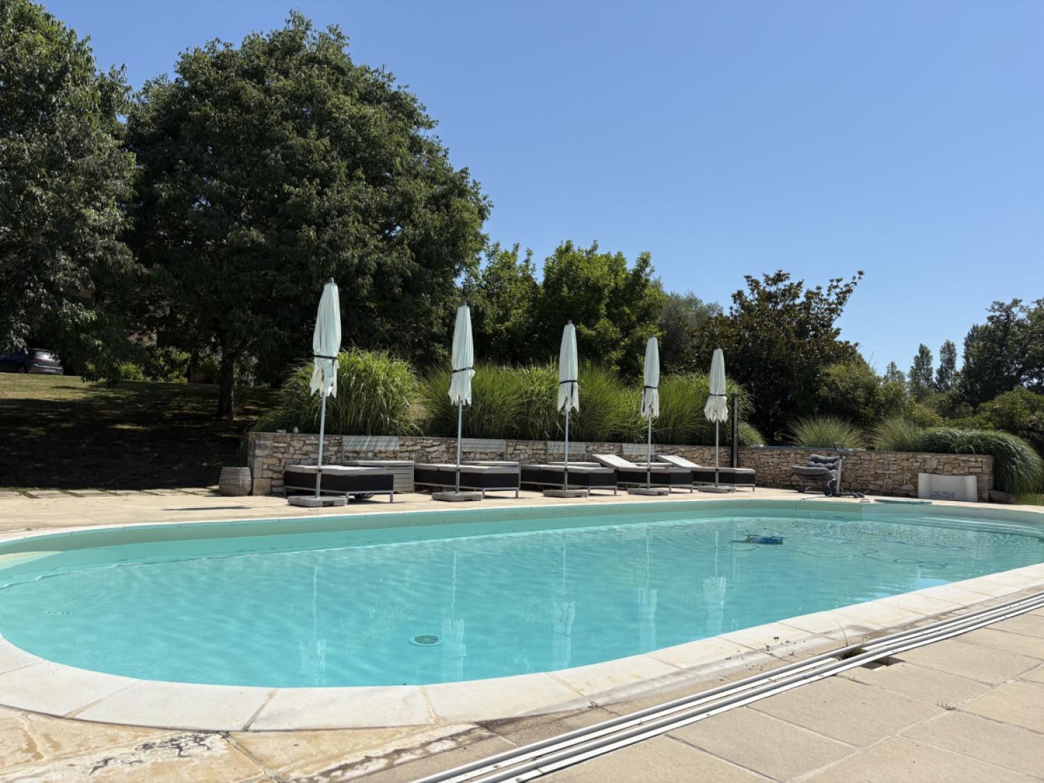 for sale property with holiday home Génis Dordogne 4