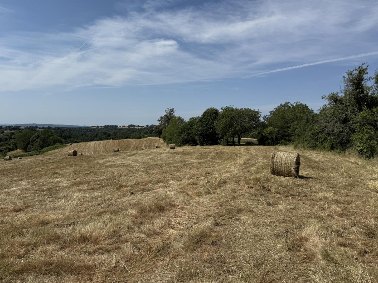 for sale farm Concèze Corrèze 25