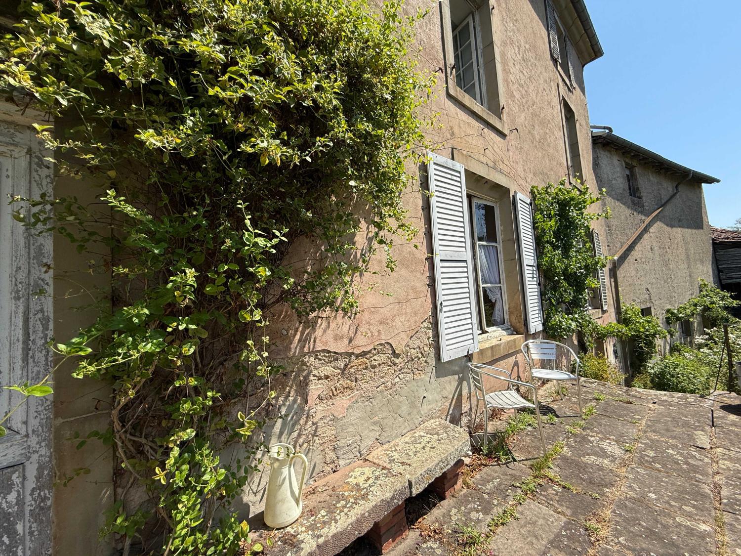  for sale mansion Châtillon-sur-Saône Vosges 33