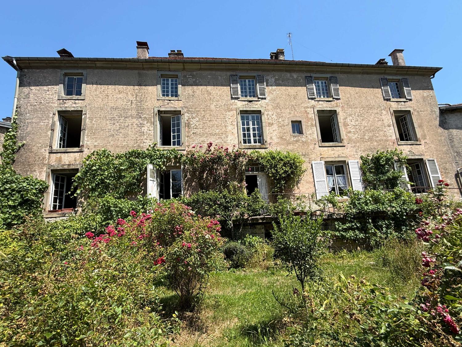  for sale mansion Châtillon-sur-Saône Vosges 44