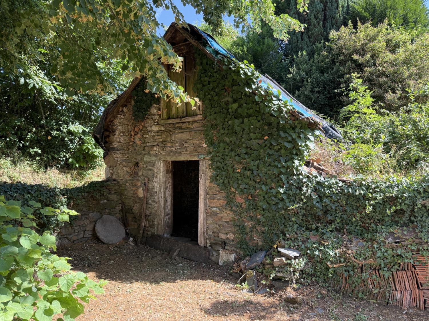 for sale farm Concèze Corrèze 8
