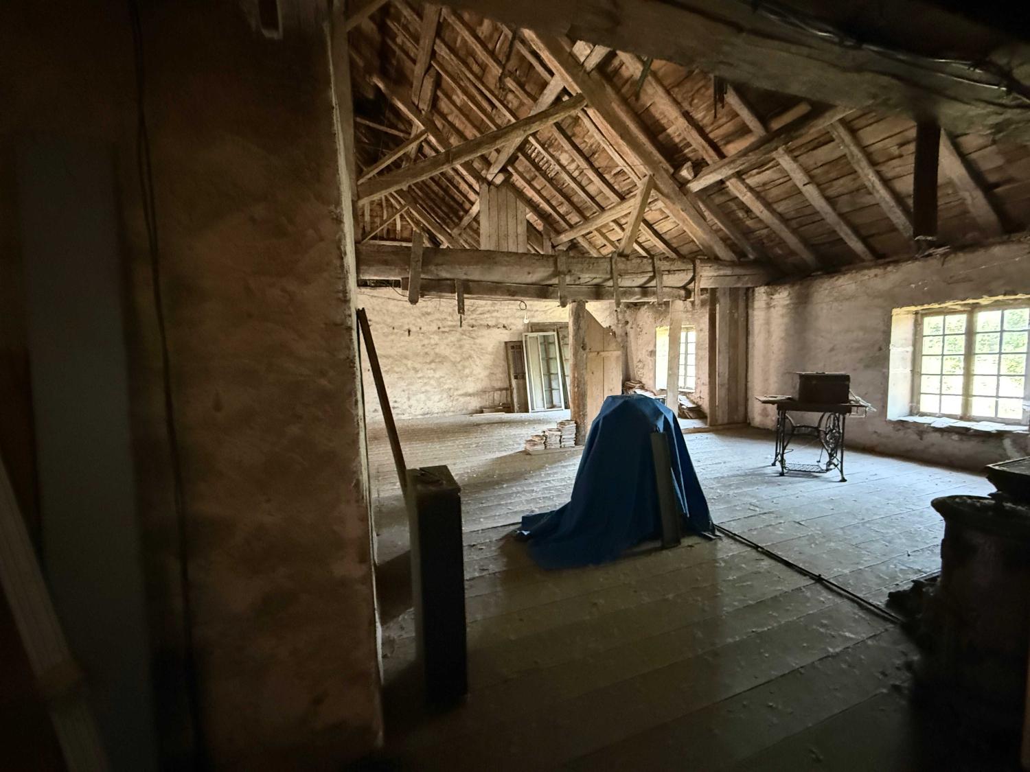 for sale mansion Châtillon-sur-Saône Vosges 30