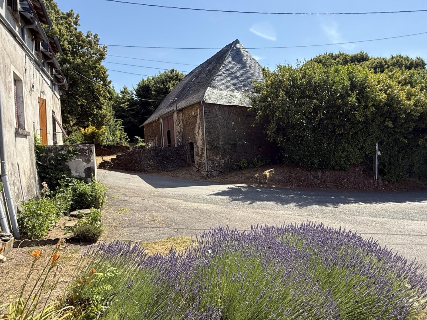 for sale farm Concèze Corrèze 21