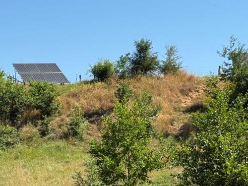  for sale bed and breakfast Isches Vosges 47