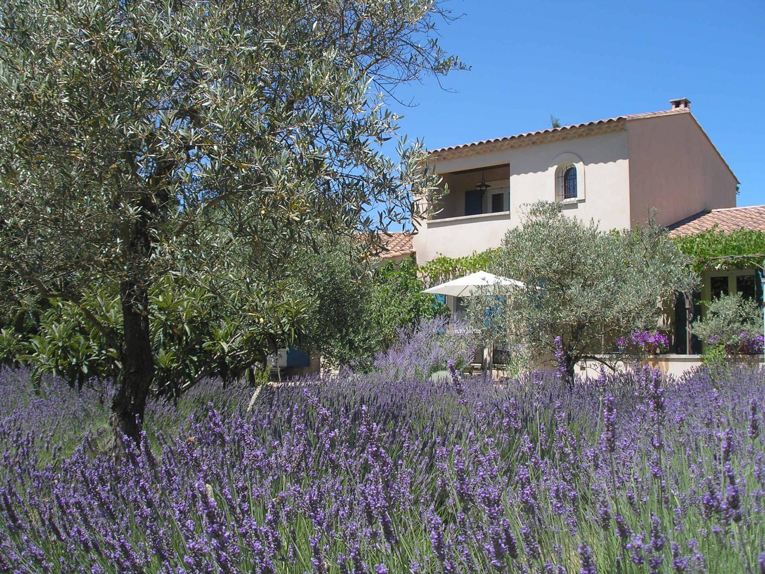  for sale bed and breakfast Lacoste Vaucluse 1