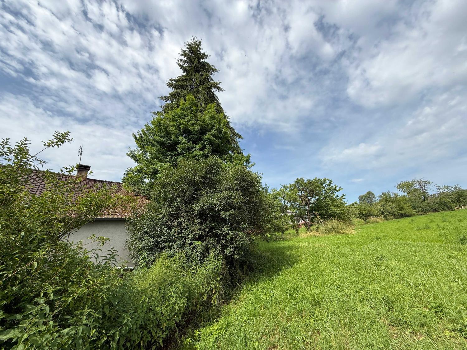 for sale village farm Augicourt Haute-Saône 36