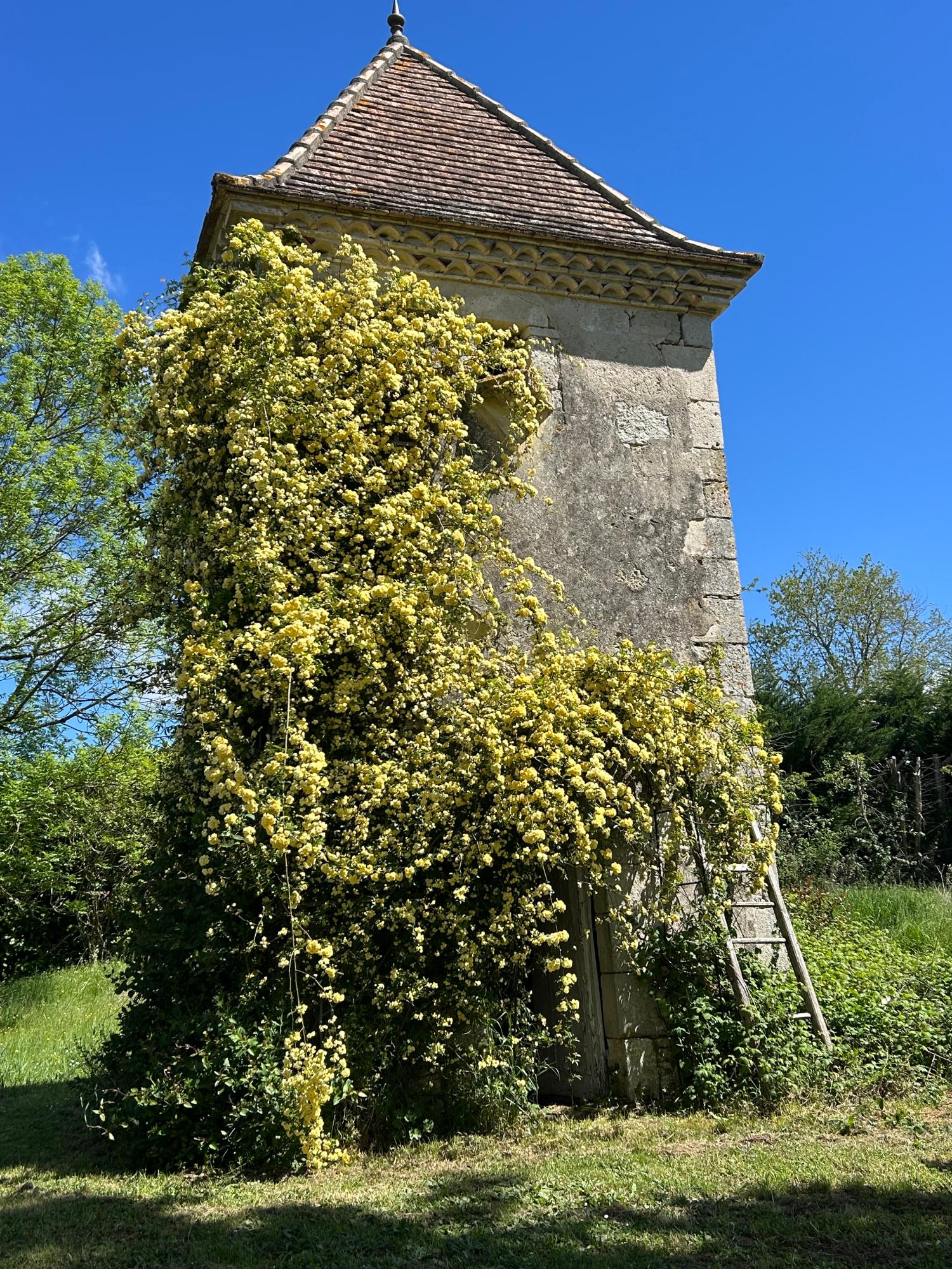 for sale detached house Grayssas Lot-et-Garonne 30