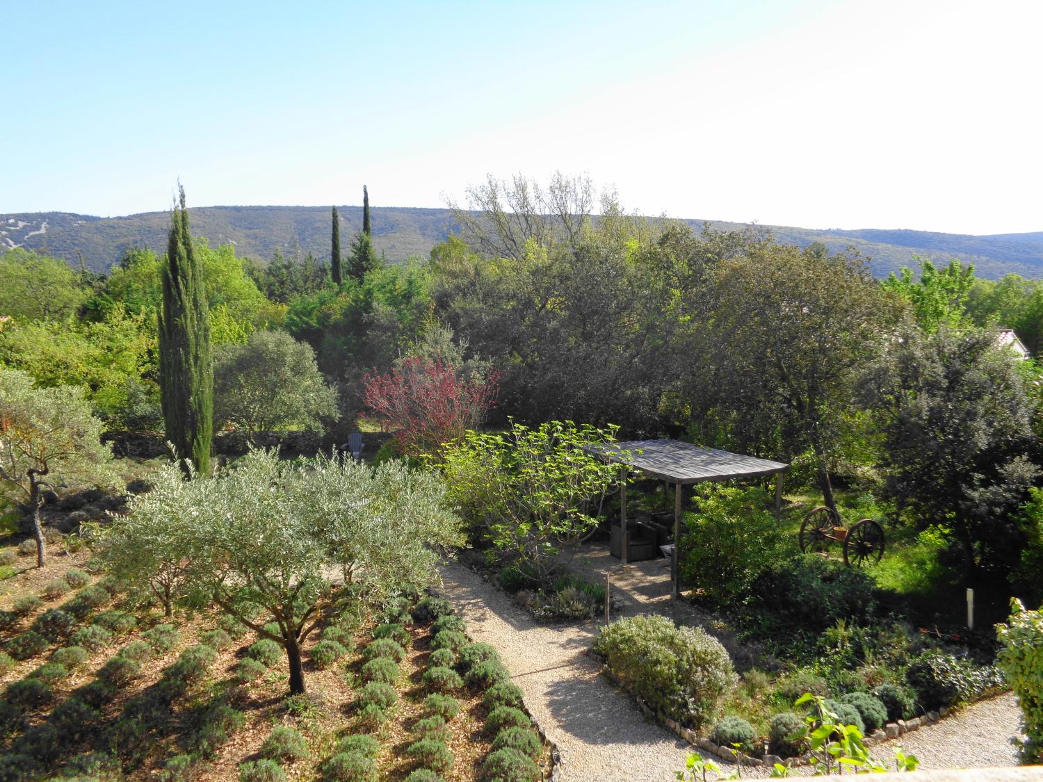  for sale bed and breakfast Lacoste Vaucluse 10