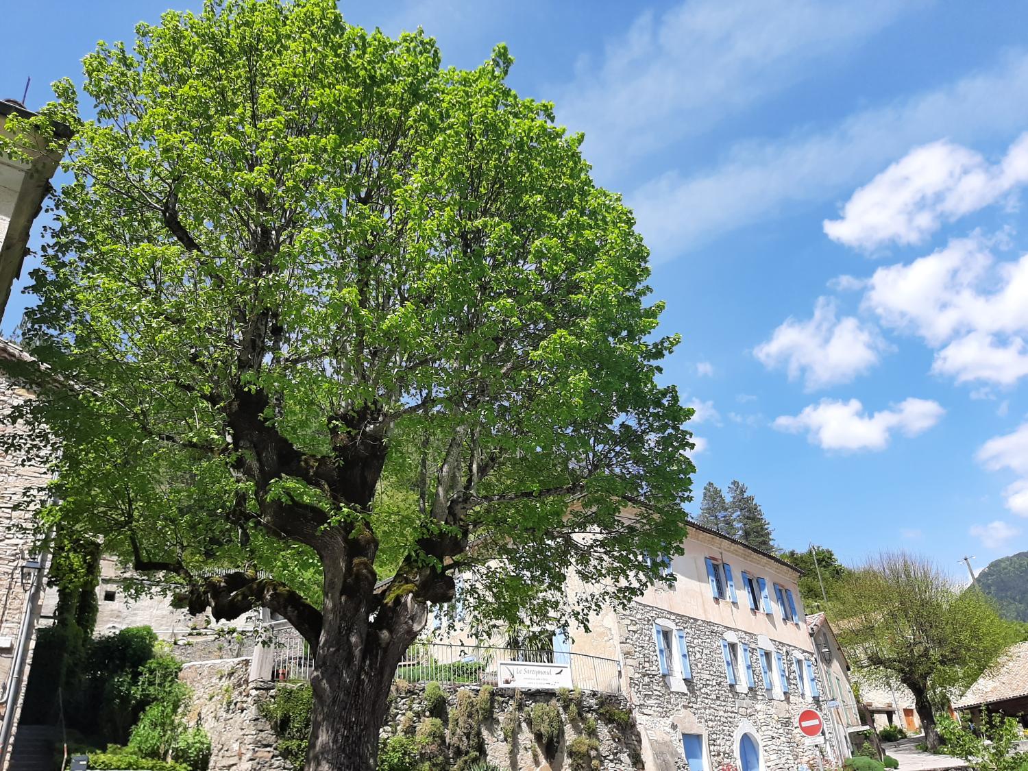 for sale detached house Châtillon-en-Diois Drôme 44
