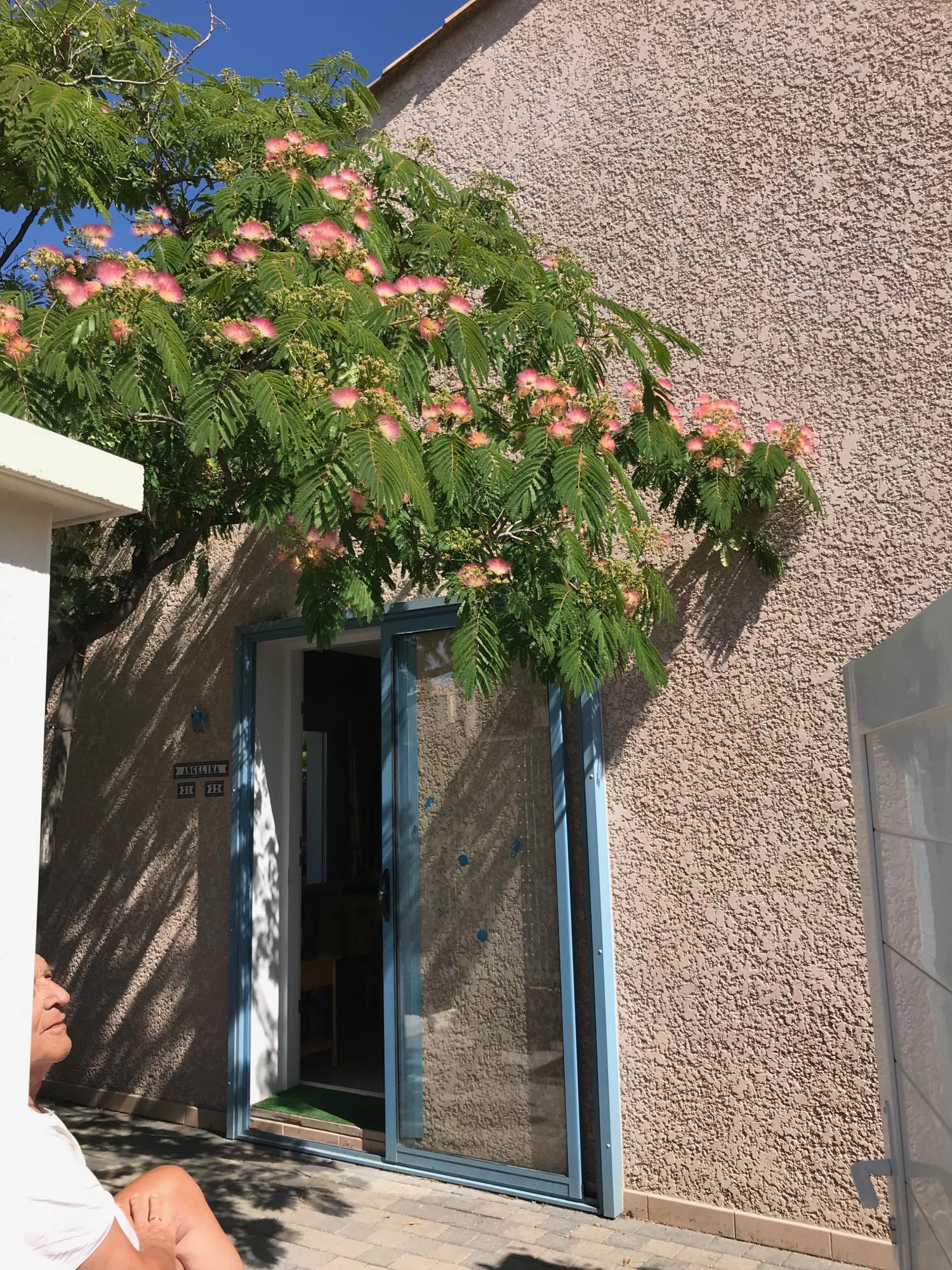  for sale villa Agde Hérault 14