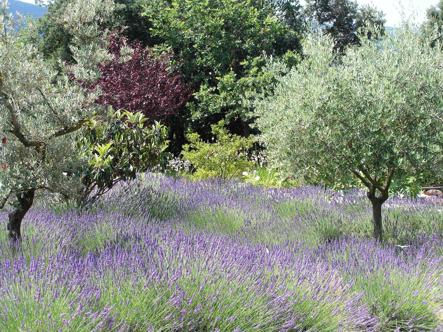  for sale bed and breakfast Lacoste Vaucluse 16