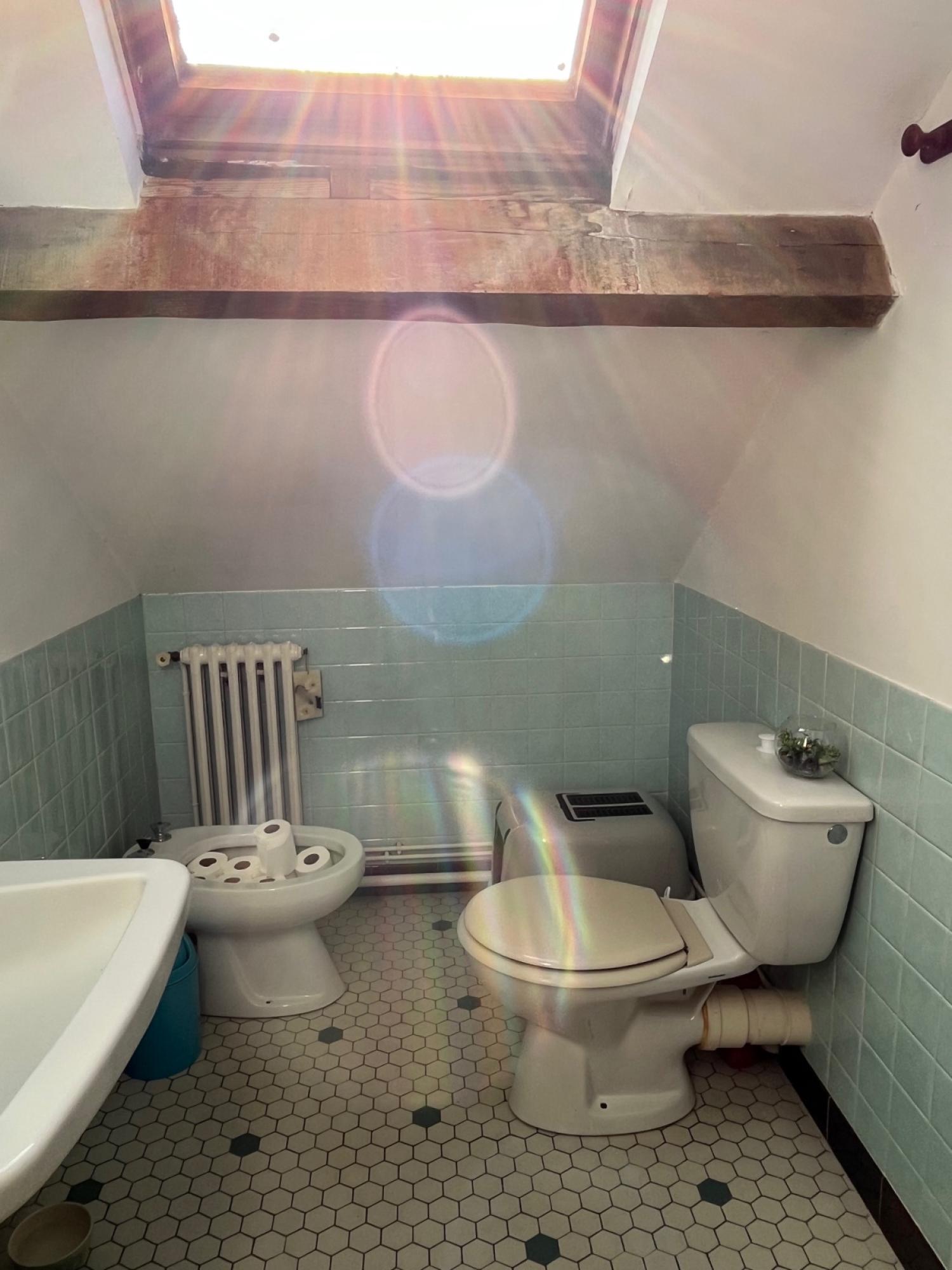 for sale detached house La Porcherie Haute-Vienne 21