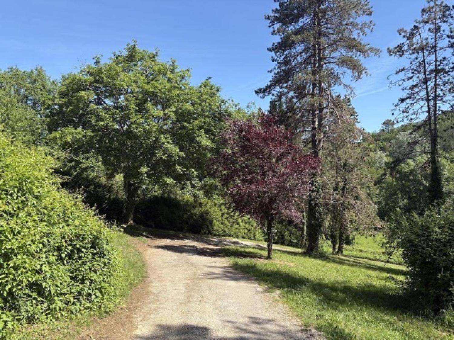 for sale detached house Puy-l'Évêque Lot 20