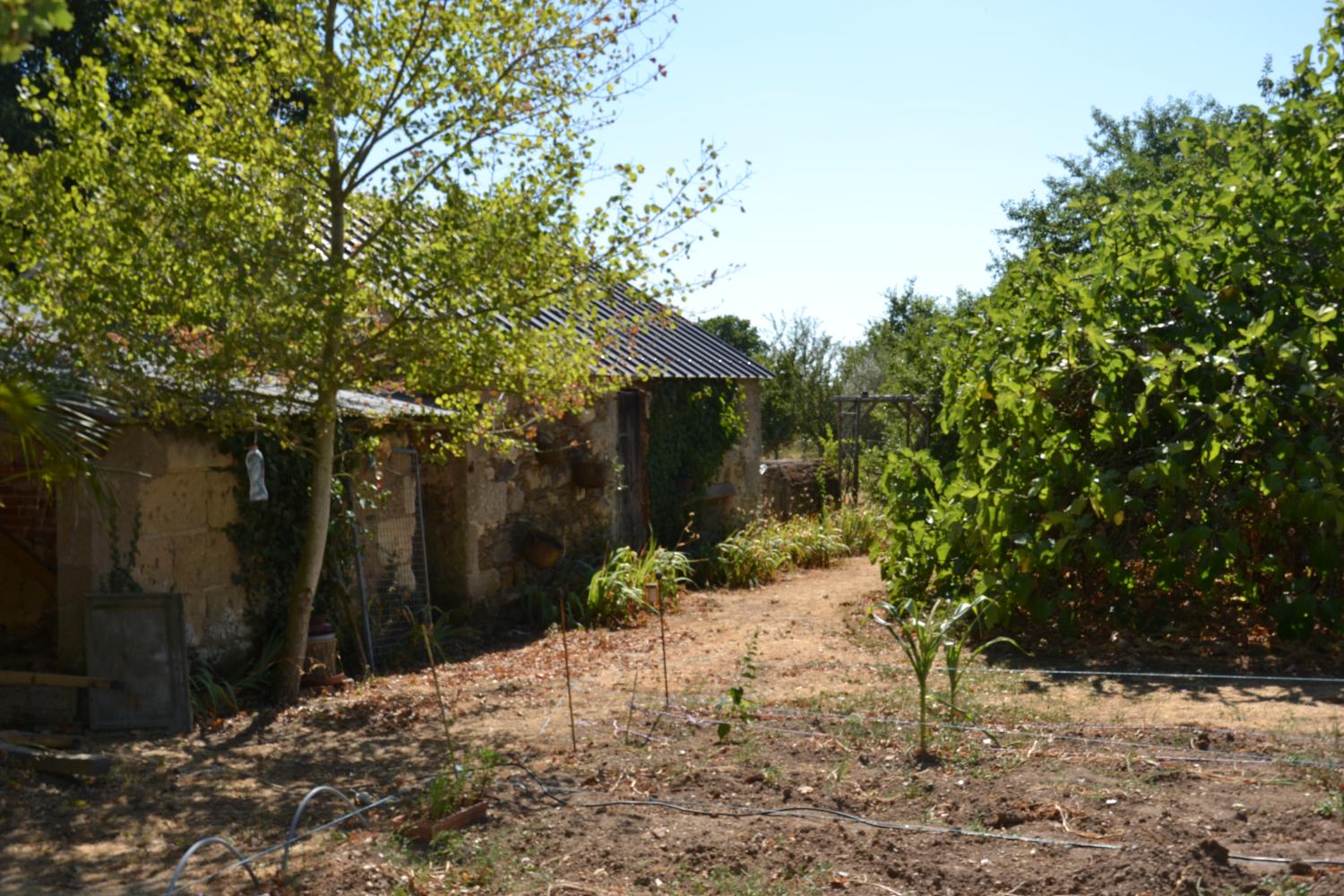  for sale farm Chavagnes Maine-et-Loire 3