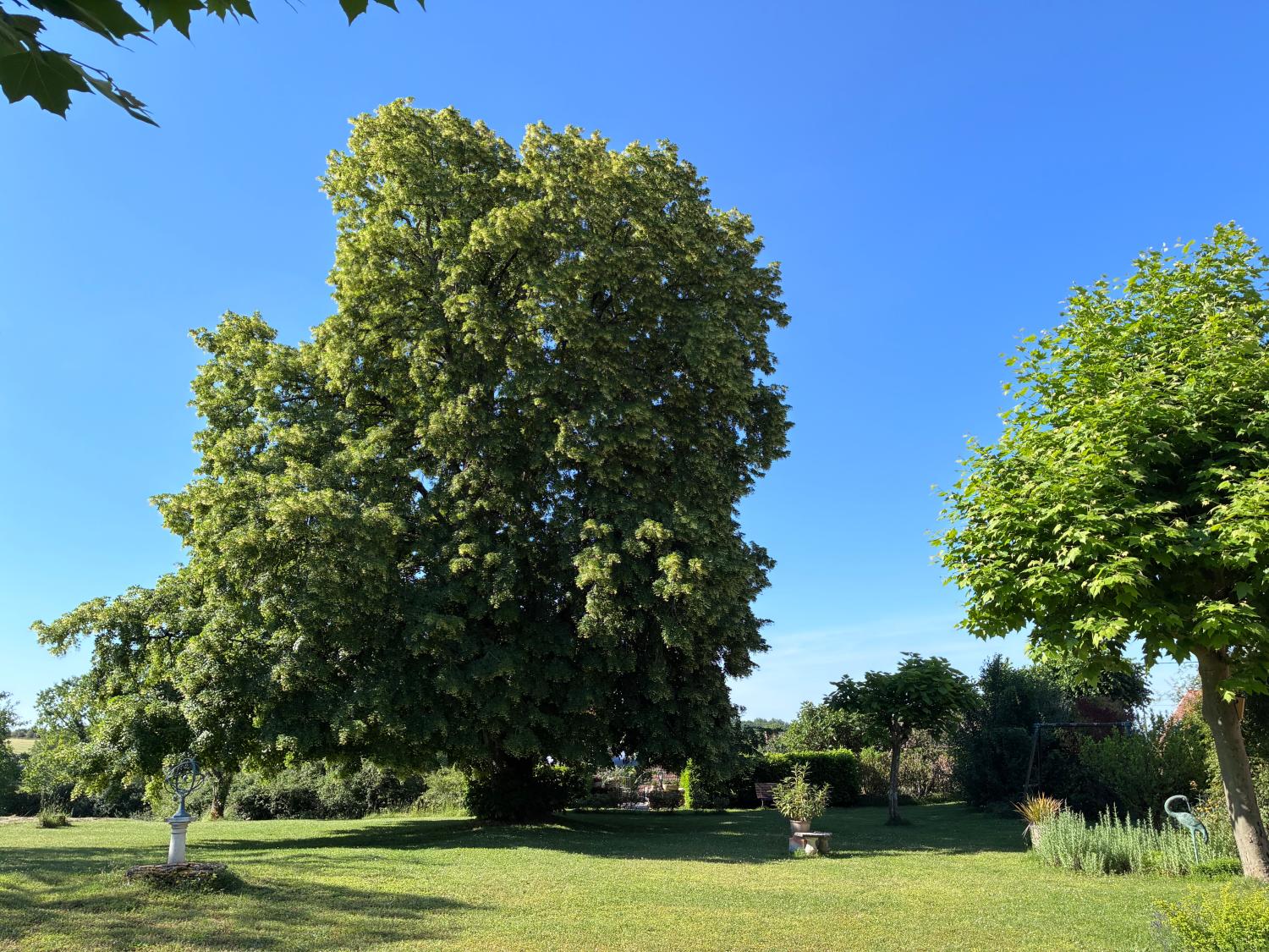 for sale estate Saint-Cyprien Dordogne 4
