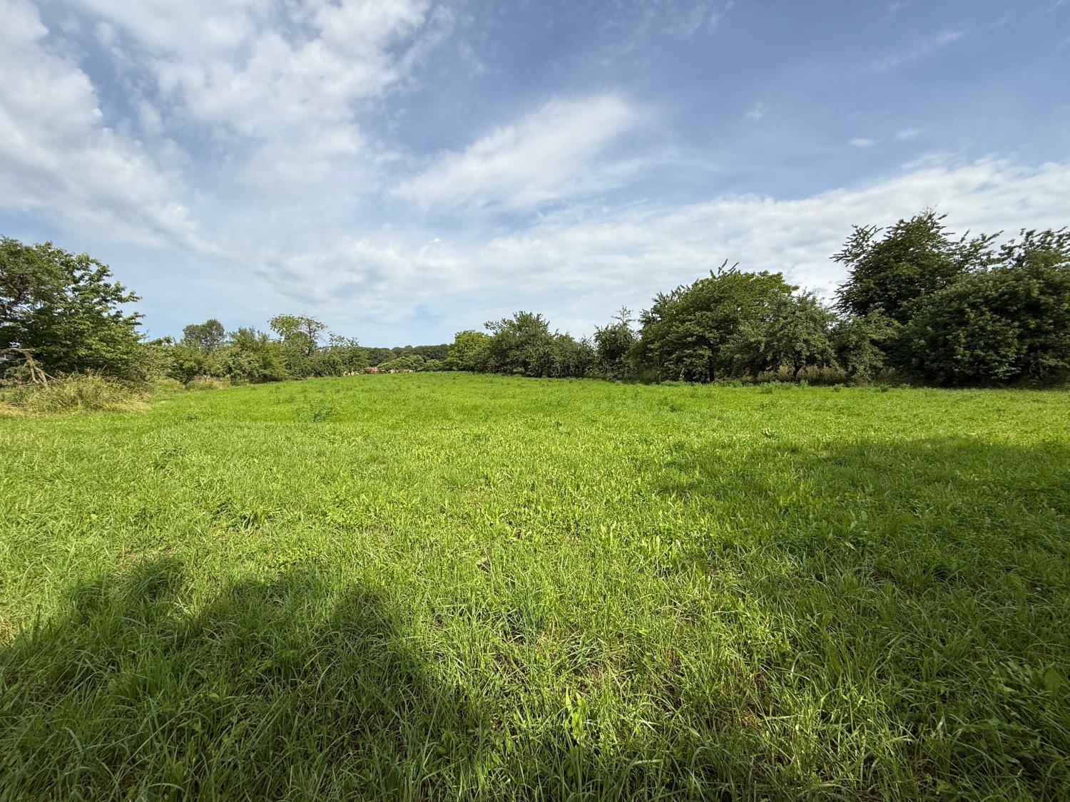for sale village farm Augicourt Haute-Saône 33