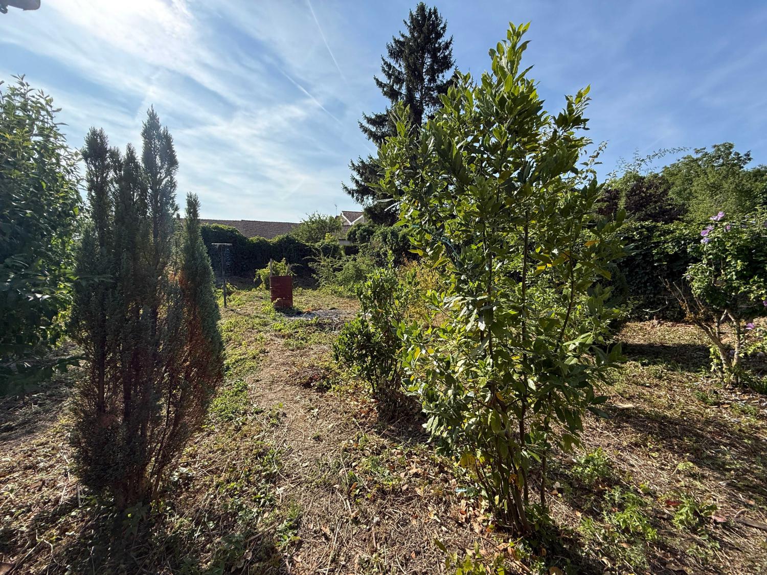  for sale village farm Melay Haute-Marne 19