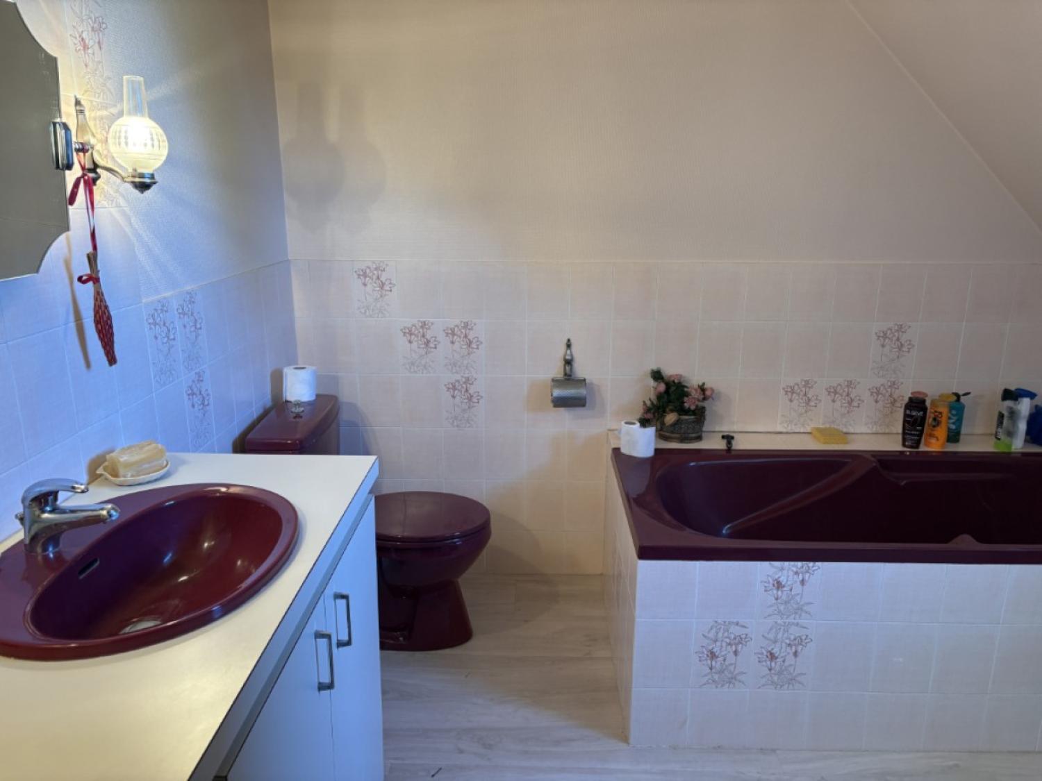  for sale detached house Arnac-Pompadour Corrèze 15