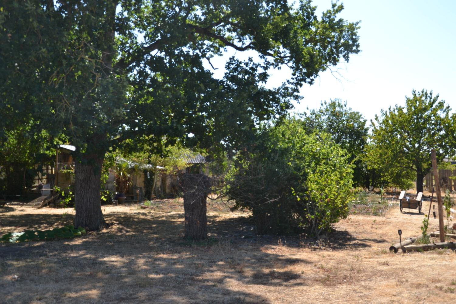  for sale farm Chavagnes Maine-et-Loire 4
