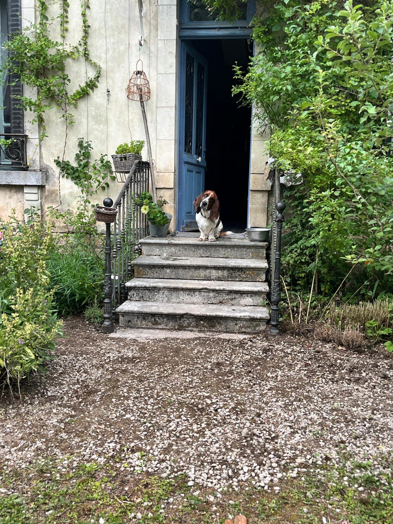  for sale village house Leuglay Côte-d'Or 11
