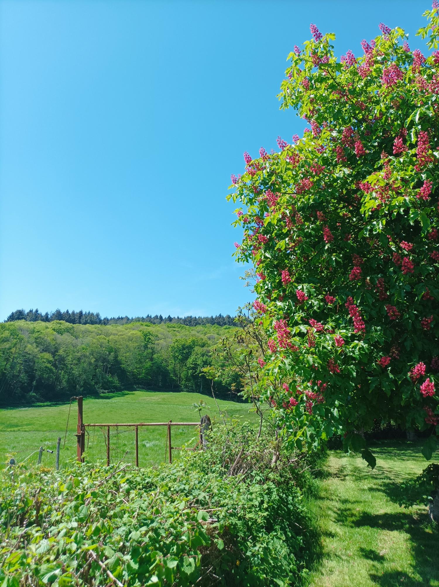 for sale property with holiday home Thil-sur-Arroux Saône-et-Loire 29