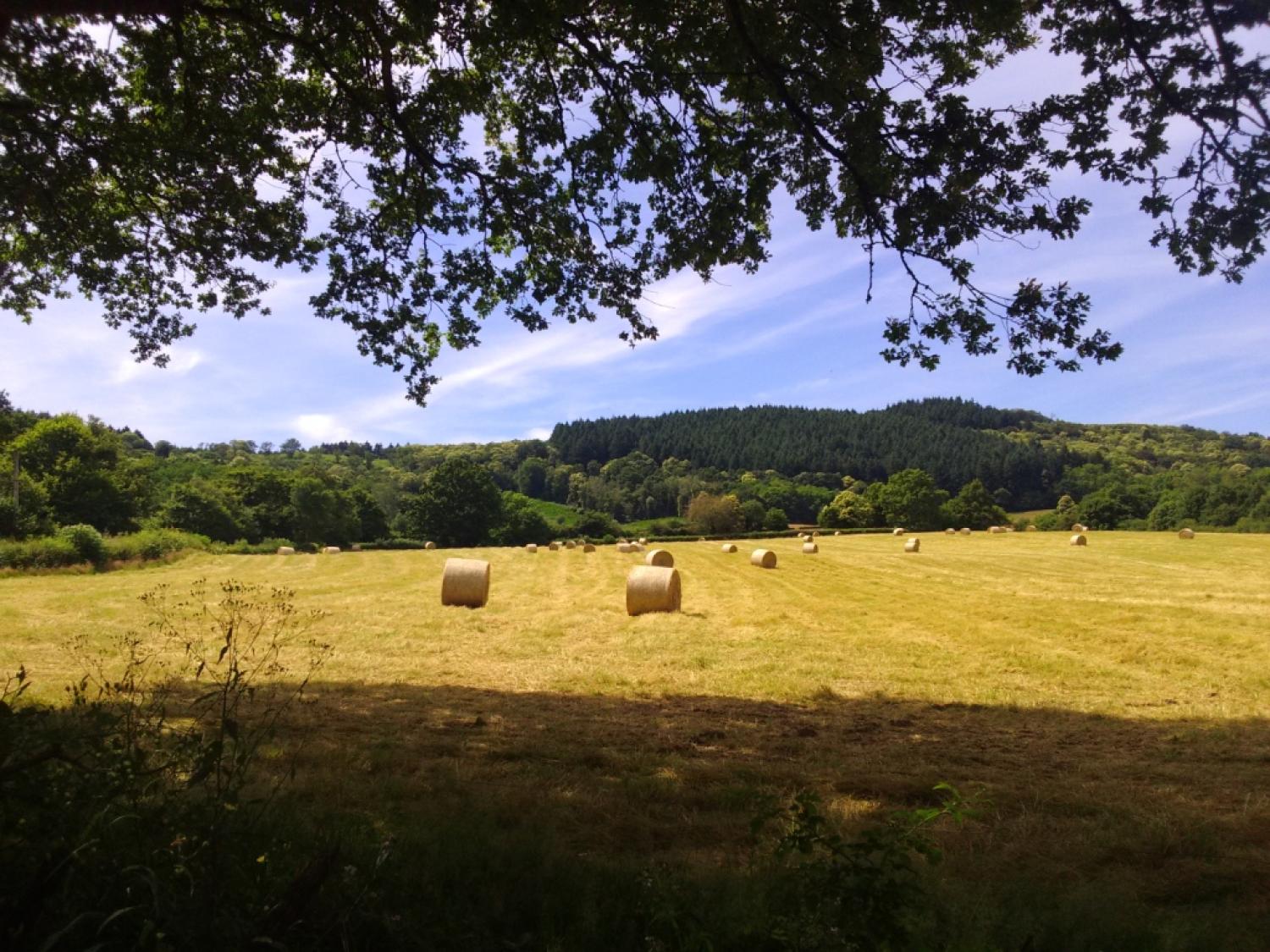  for sale property with holiday home Thil-sur-Arroux Saône-et-Loire 30