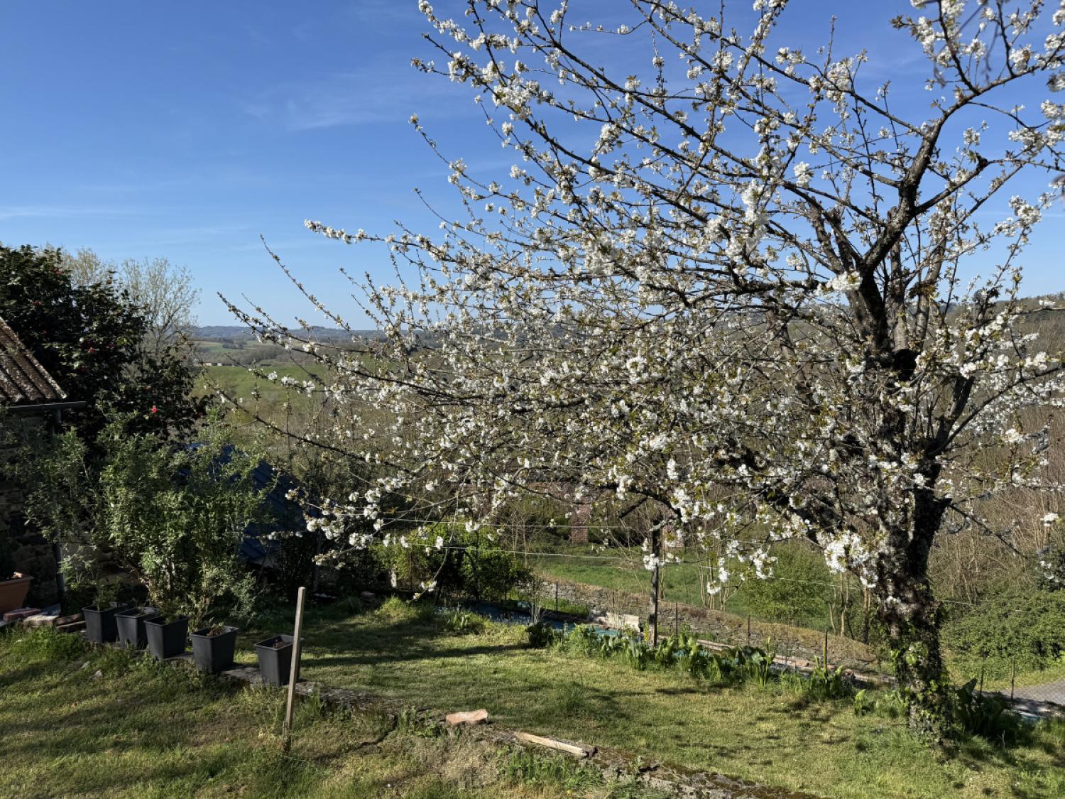 for sale detached house Vignols Corrèze 19