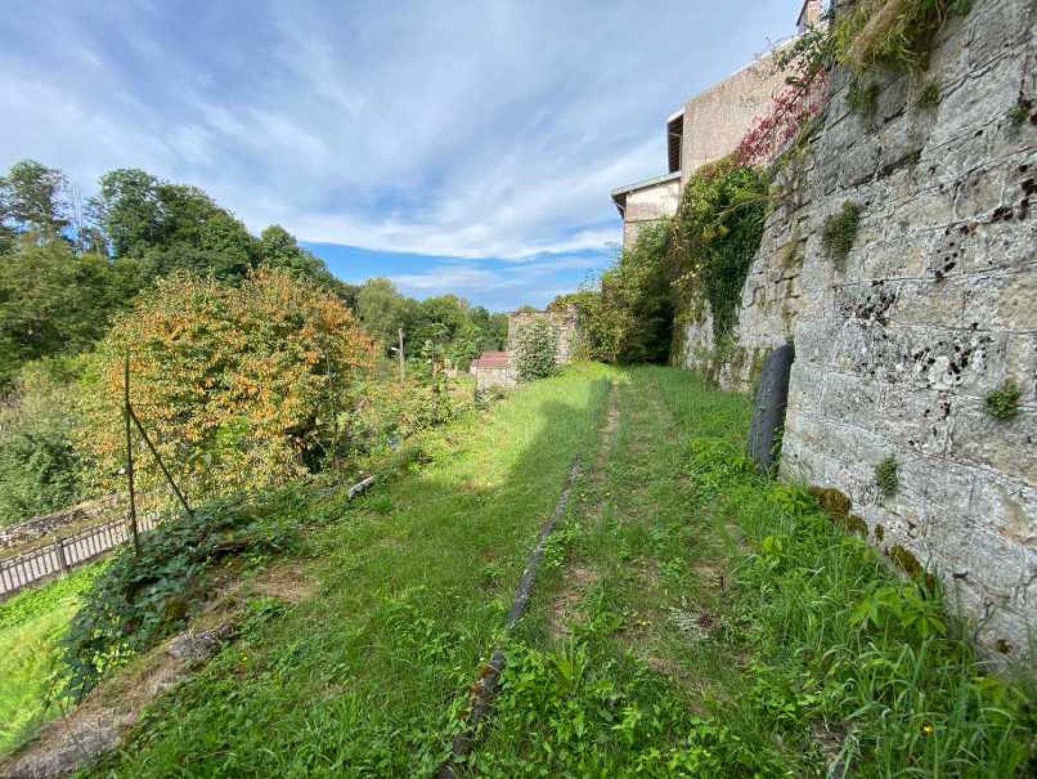  for sale mansion Châtillon-sur-Saône Vosges 40