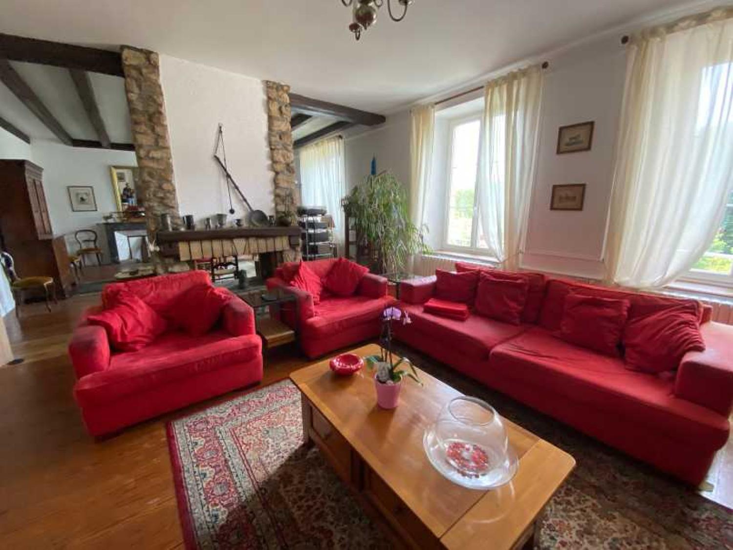  for sale mansion Châtillon-sur-Saône Vosges 20