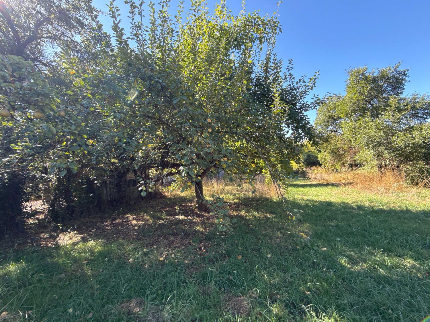  for sale village farm Corre Haute-Saône 28