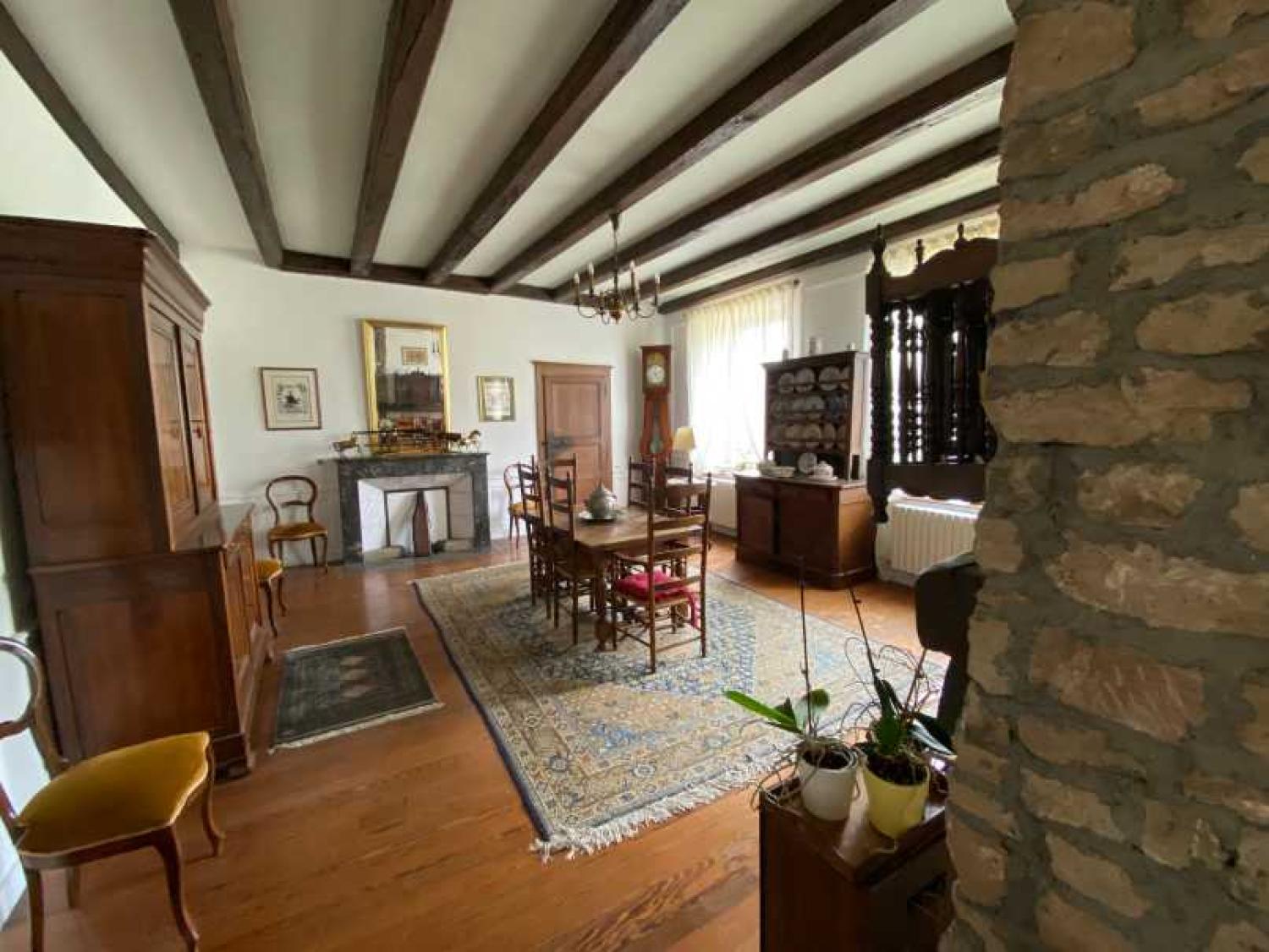  for sale mansion Châtillon-sur-Saône Vosges 21
