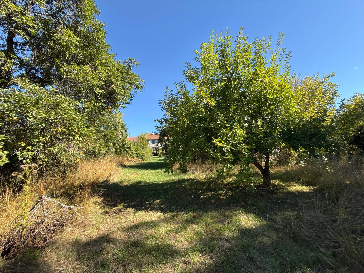  for sale village farm Corre Haute-Saône 30