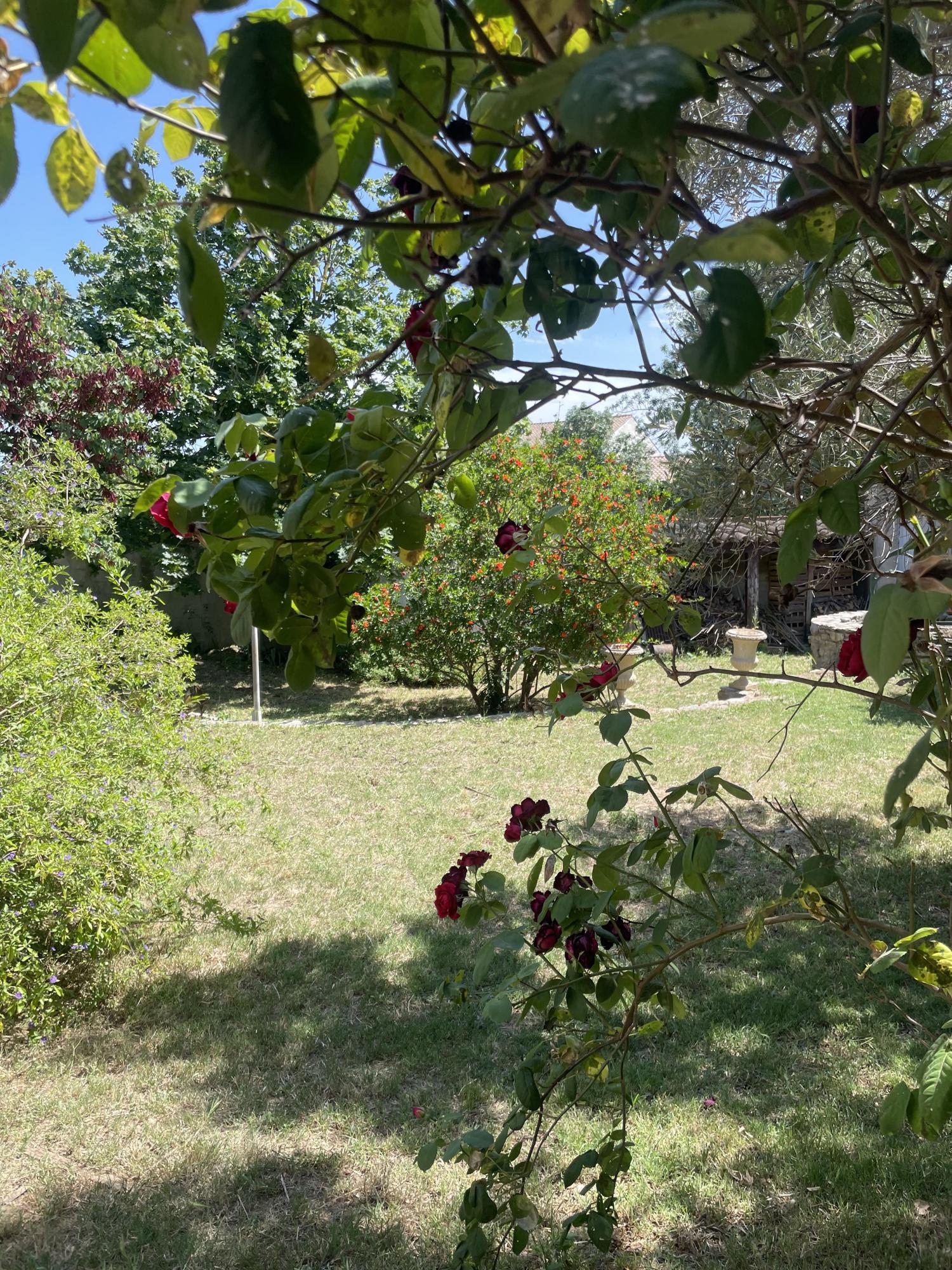 for sale village house Narbonne Aude 3