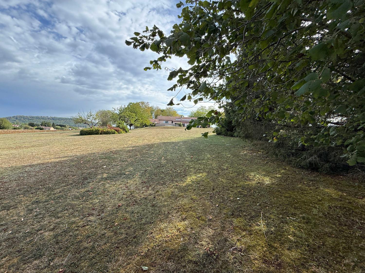for sale detached house Liffol-le-Grand Vosges 31