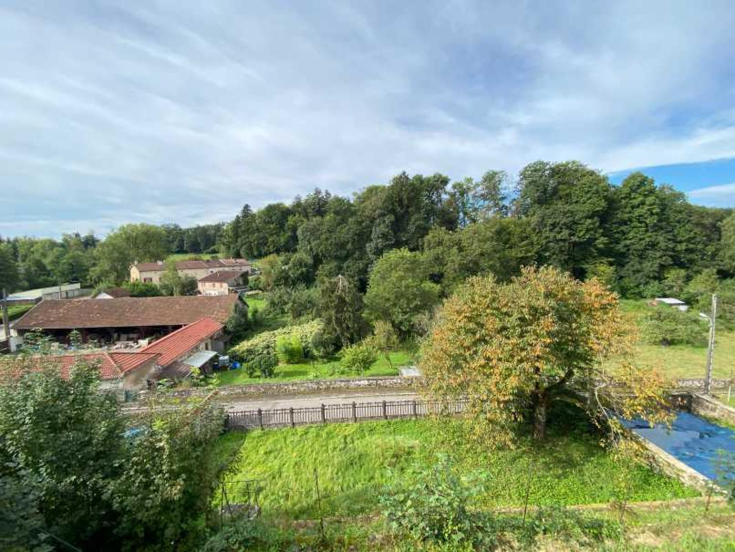  for sale mansion Châtillon-sur-Saône Vosges 36